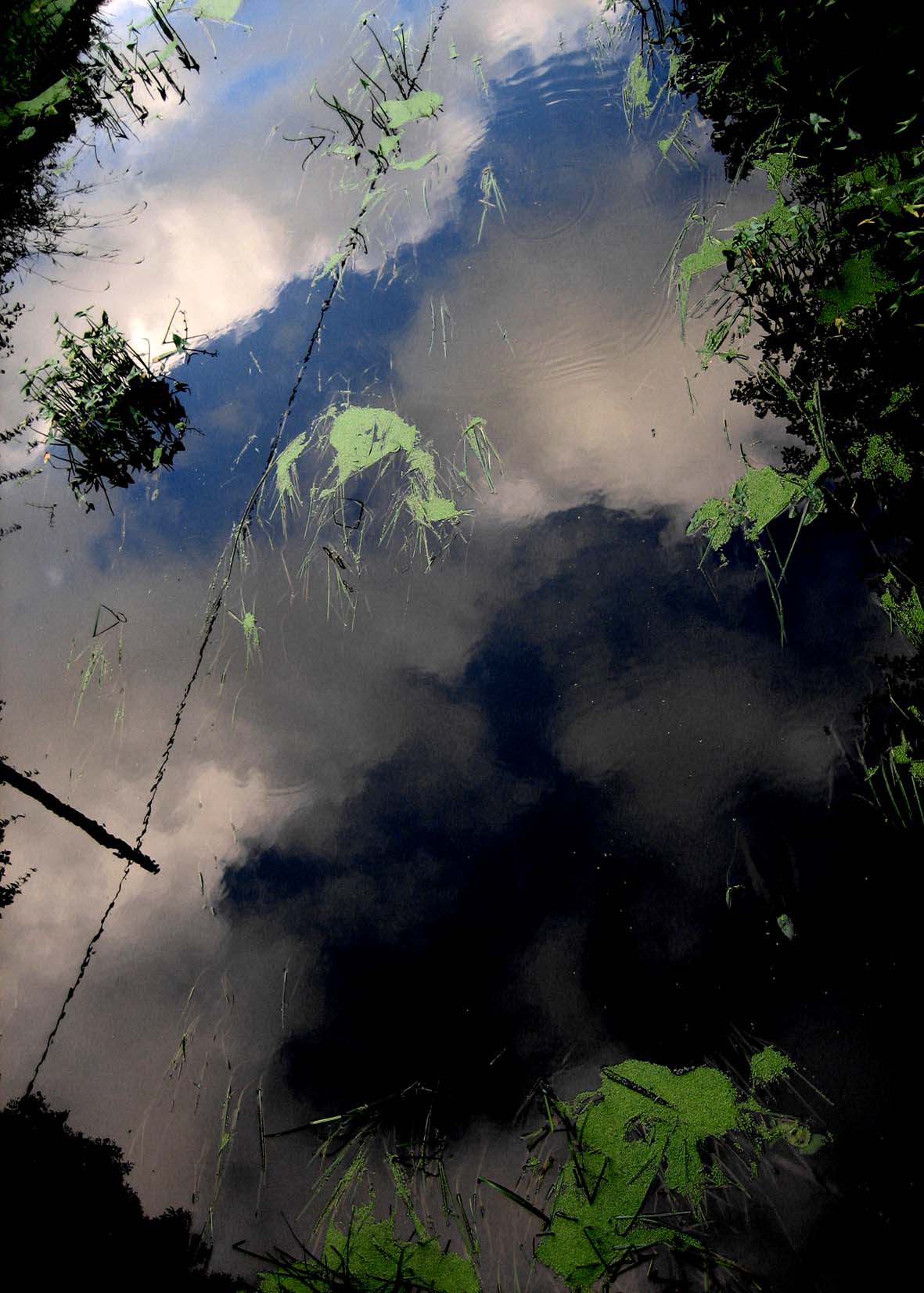 japan abstract 5070web